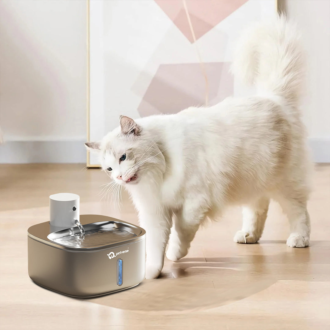 for cats motion sensor cat water fountain