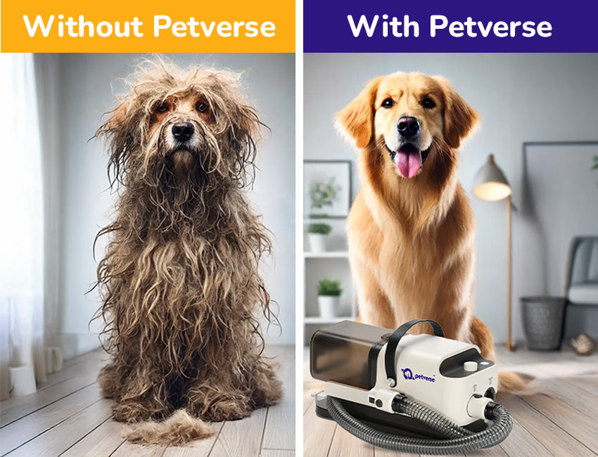 Pet with and without All in One Dog Grooming Kit
