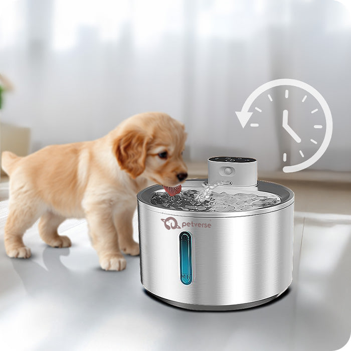 Timer Mode - Dispenses water for 15 seconds every 15 minutes to keep it fresh and flowing regularly.