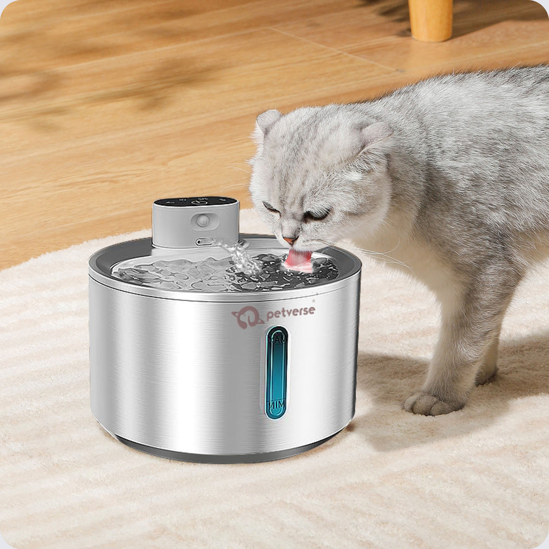 Health Benefits of Stainless Steel Cat Fountain