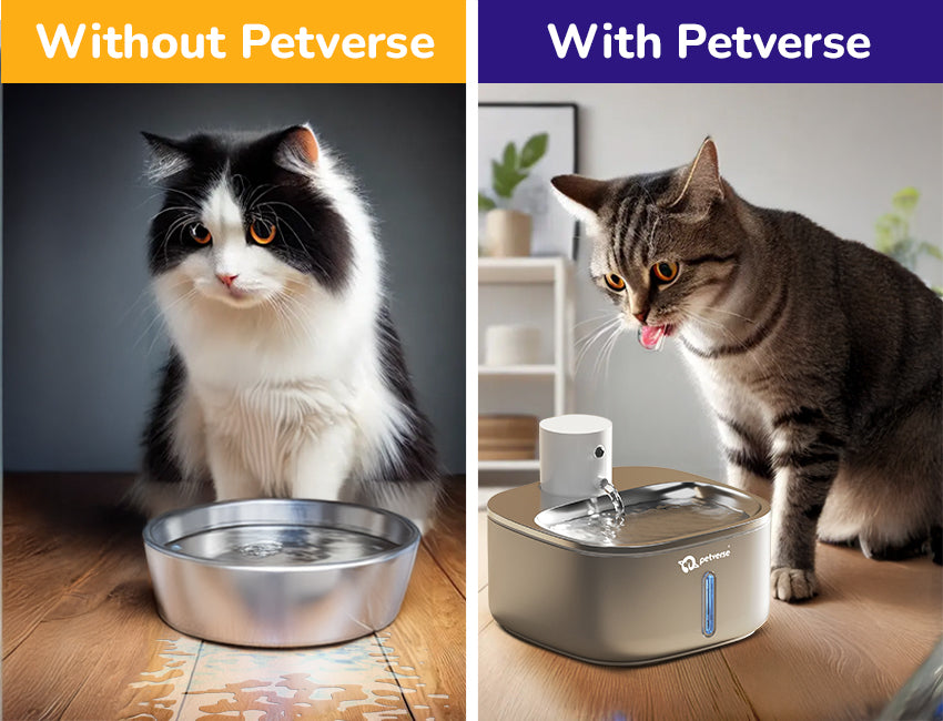 Pet with and without Petverse Smart Motion Sensor Cat Water Fountain