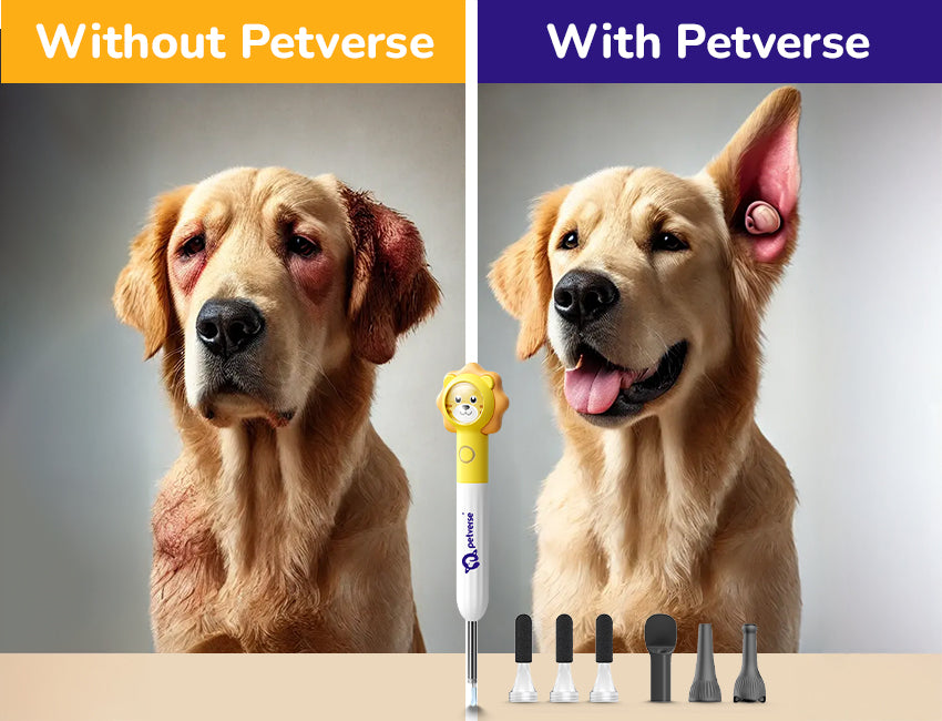 Pet with and without Petverse Smart Visual Dog Ear Cleaner with Camera