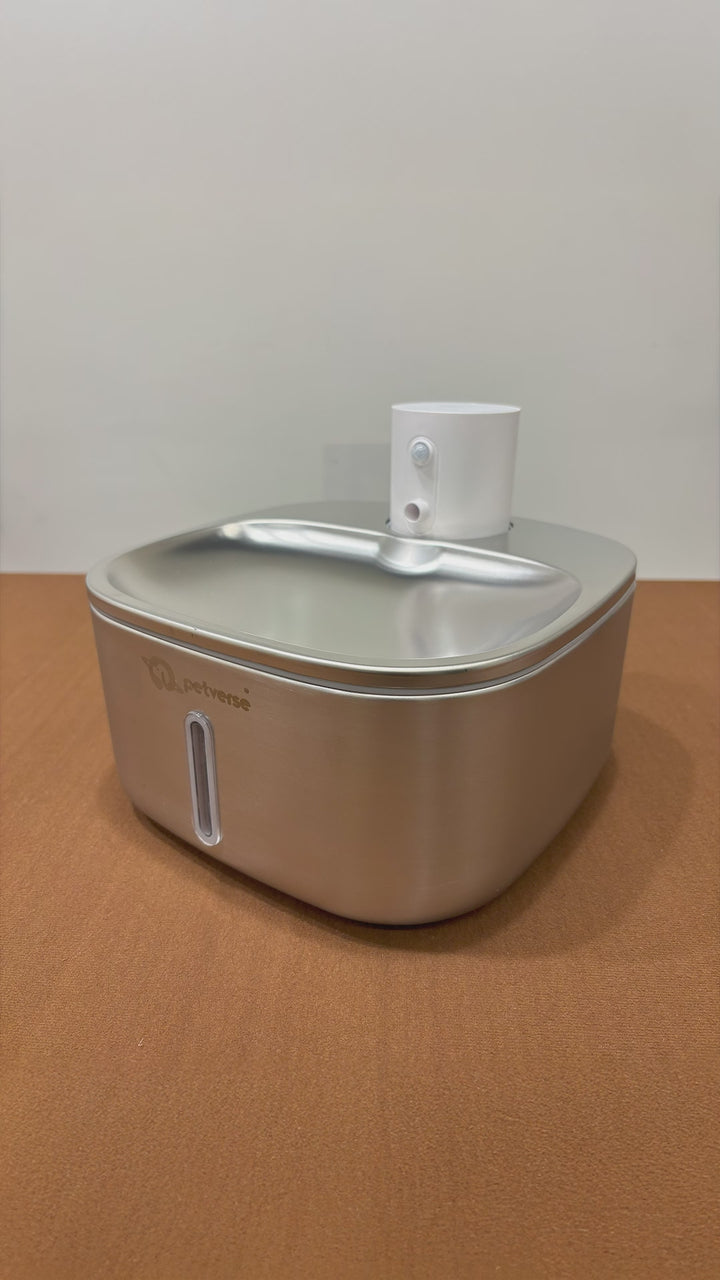 Pet Water Fountain