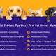 Essential pet care tips from petverse brand to every new pet owner should know
