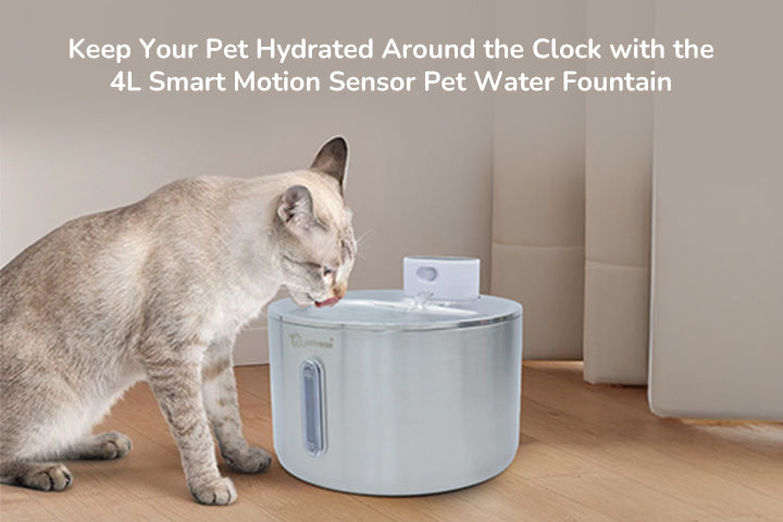 Stainless Steel Pet Water Fountain – Keep Your Pet Hydrated & Happy