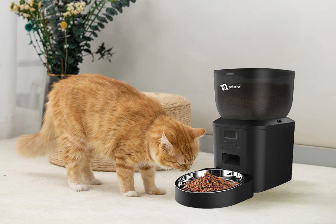 Cat eating his food from petverse automatic feeder