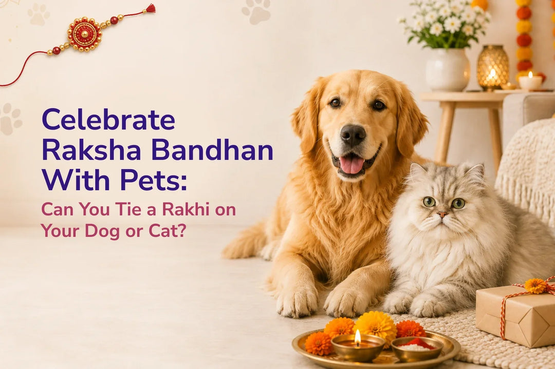Celebrate Raksha Bandhan With Pets: Can You Tie a Rakhi on Your Dog or Cat?