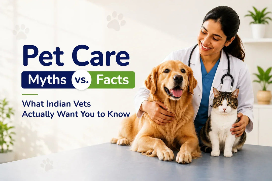 Pet Care Myths vs. Facts: What Indian Vets Actually Want You to Know