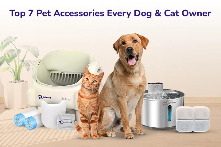 Top 7 Pet Accessories Every Dog & Cat Owner Needs in India