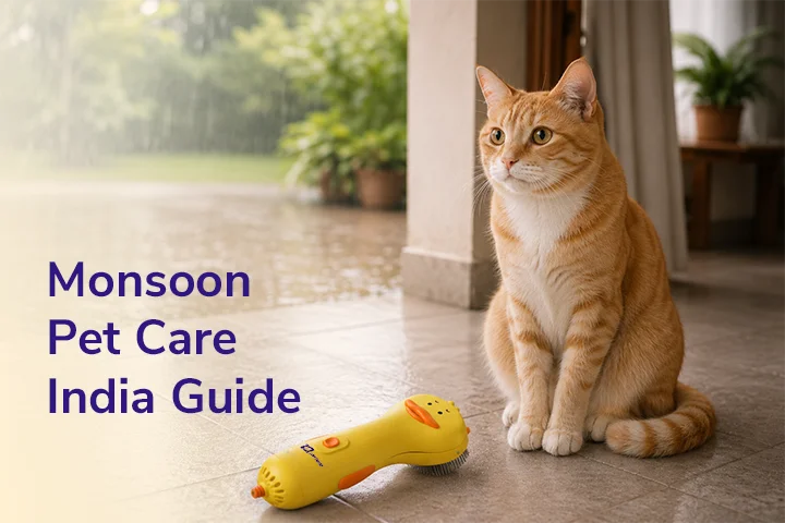 Monsoon Pet Care India Guide