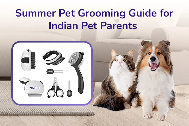 Summer Pet Grooming Guide for Indian Pet Parents