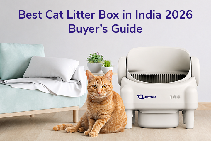 Best Cat Litter Box in India 2026 — Buyer’s Guide