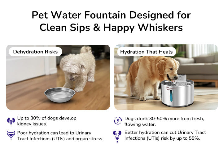 Petverse water fountain helps maintain body temperature, supports digestion, and removes waste.