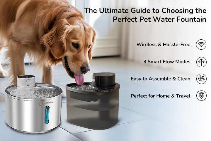 Petverse Water Fountain: Wireless and hassle-free, featuring 3 smart flow modes, easy to assemble, and easy to clean.