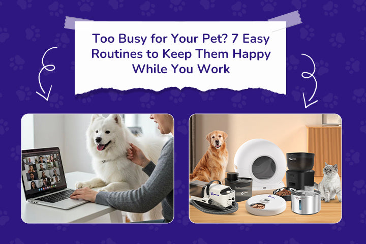 Pet parents with Petverse litter boxes, water fountains, grooming kits, and automatic pet feeders.