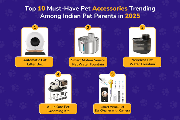 Petverse: Top must-have trending pet products in India, featuring automatic litter boxes, smart water fountains, and professional grooming kits.