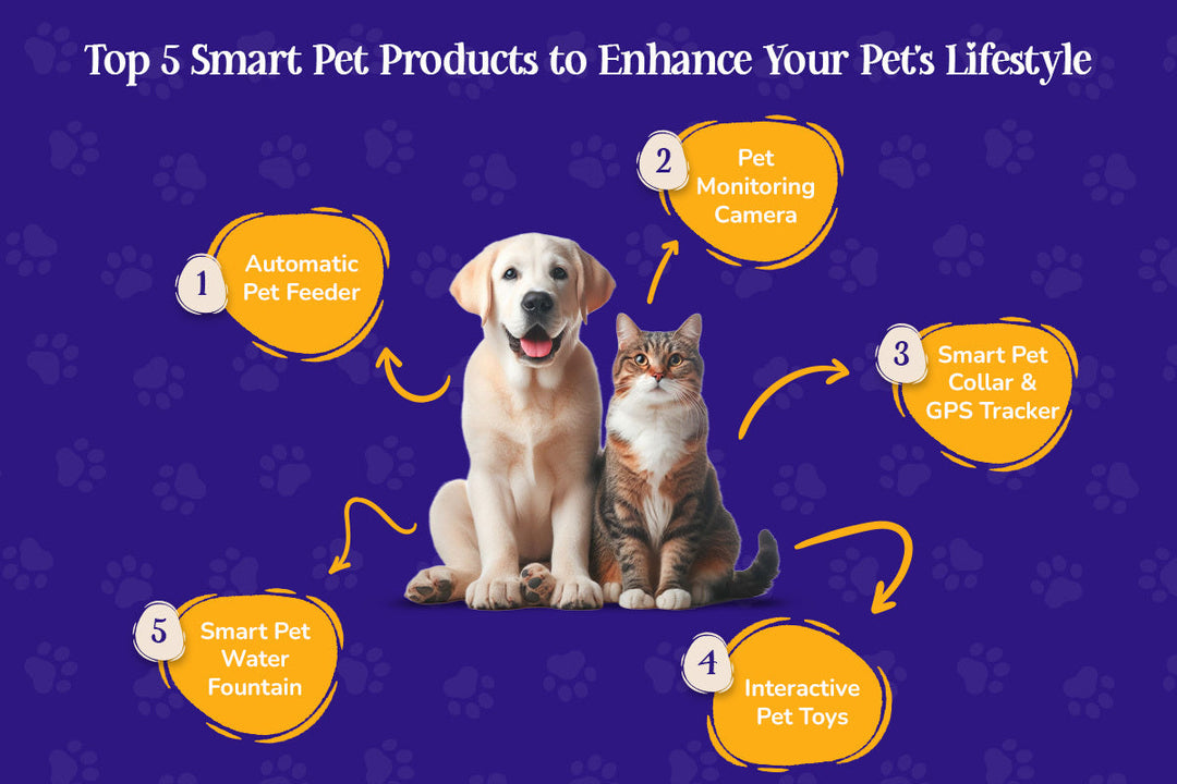 Top 5 Smart Pet Products to Enhance Your Pet's Lifestyle