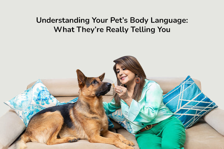 Understanding Your Pet’s Body Language: What They’re Really Telling You