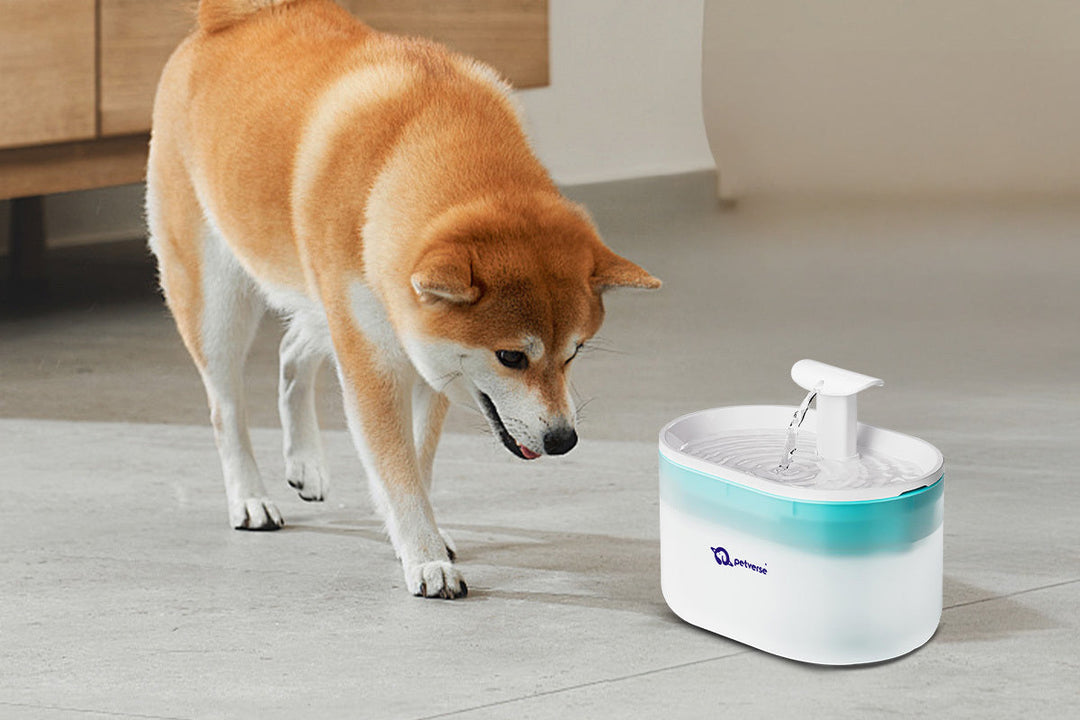 Dog drinking water from Petverse's Smart Pet Water Fountain