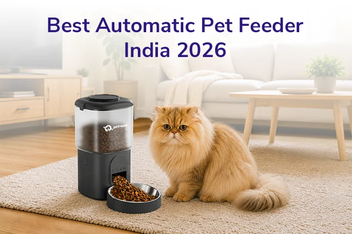Best Automatic Pet Feeder India 2026