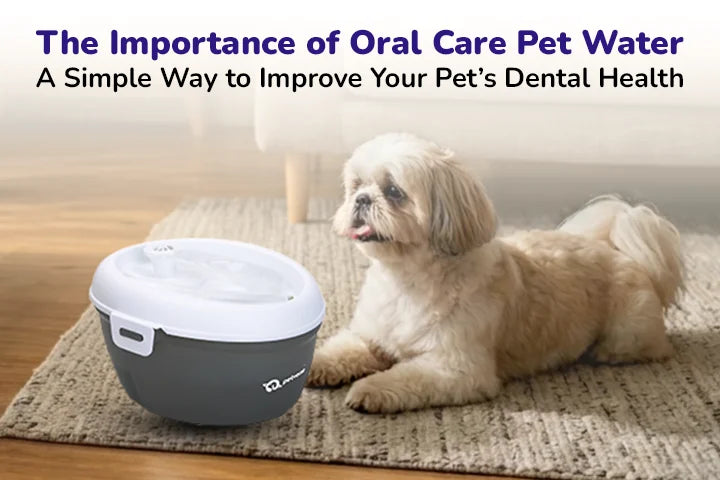 The Importance of Oral Care Pet Water: A Simple Way to Improve Your Pet’s Dental Health