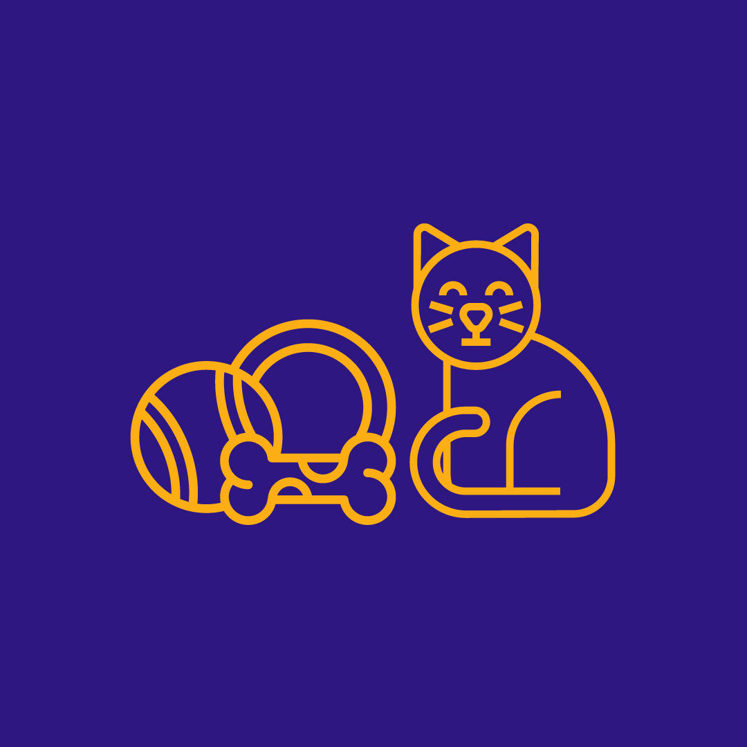 Pet Toys