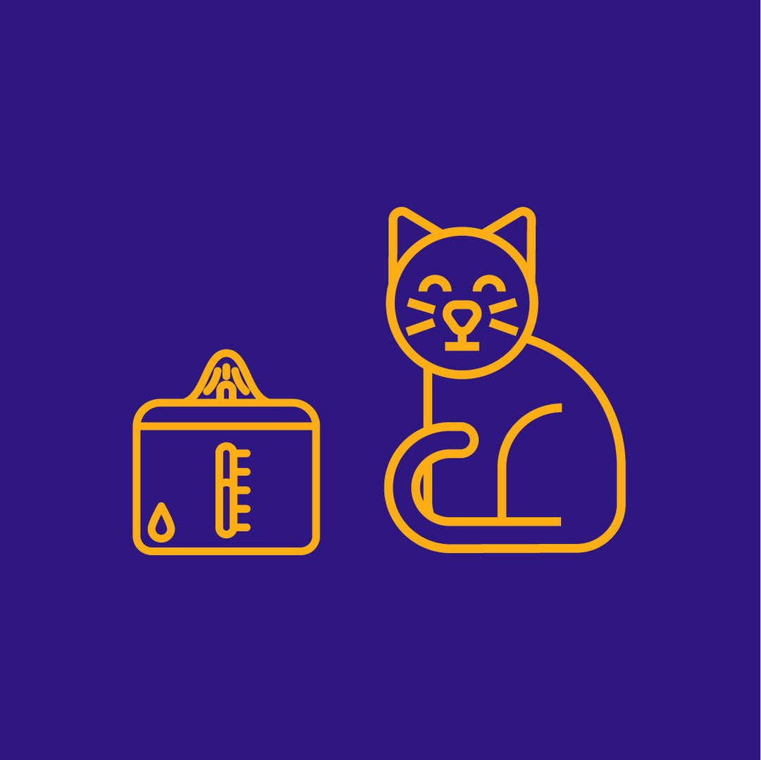 Automatic Pet Fountains