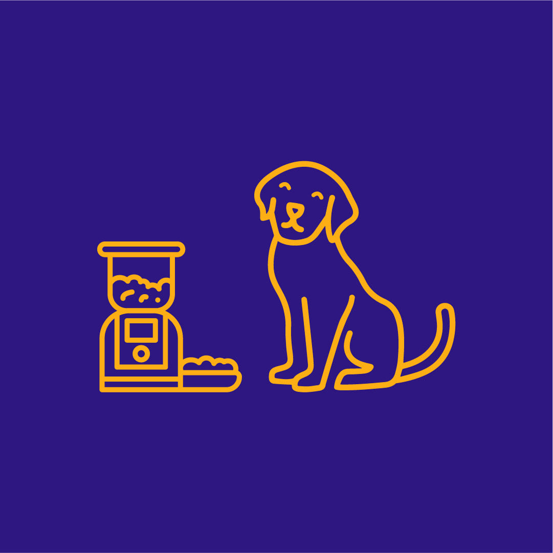 Automatic Pet Feeders