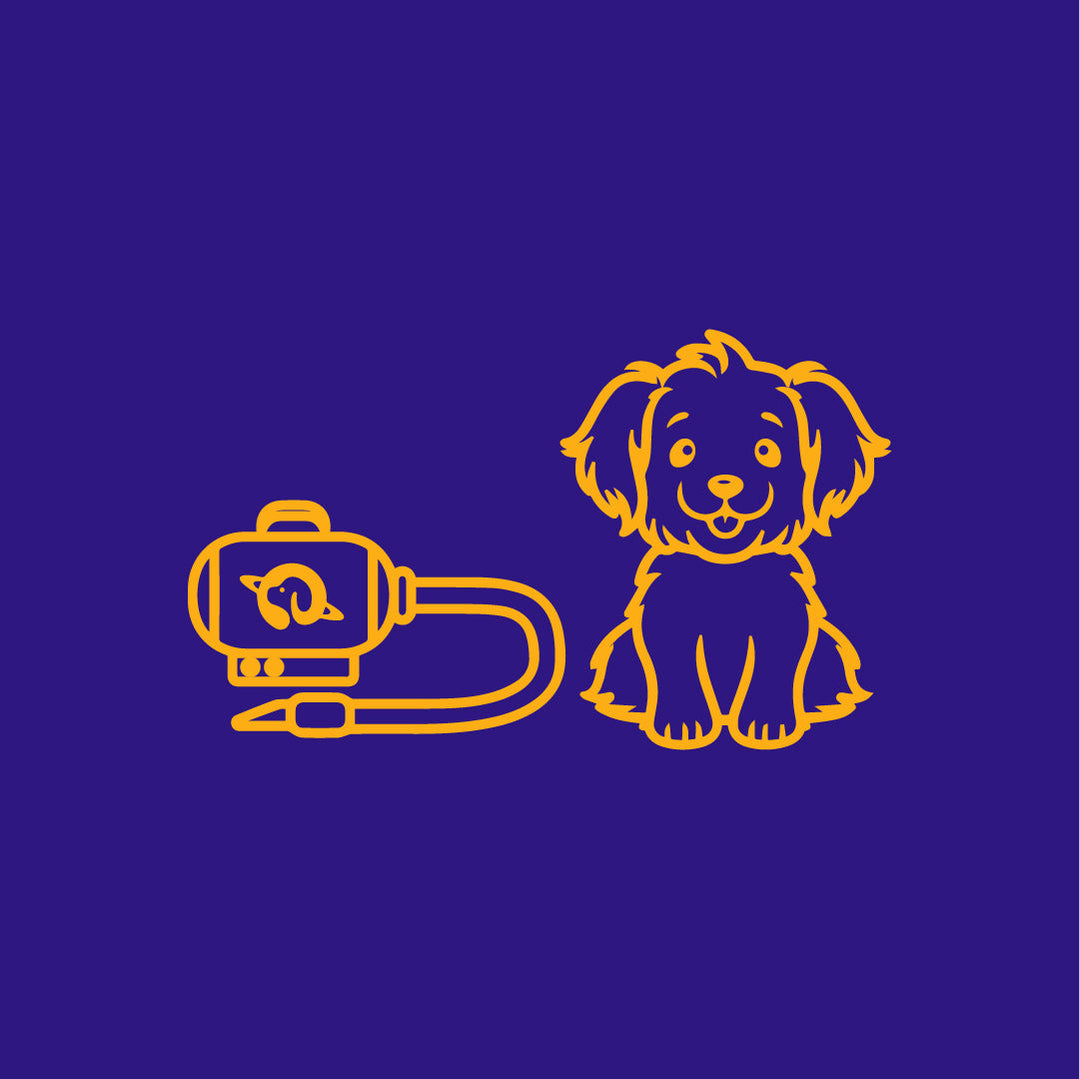 Pet Grooming