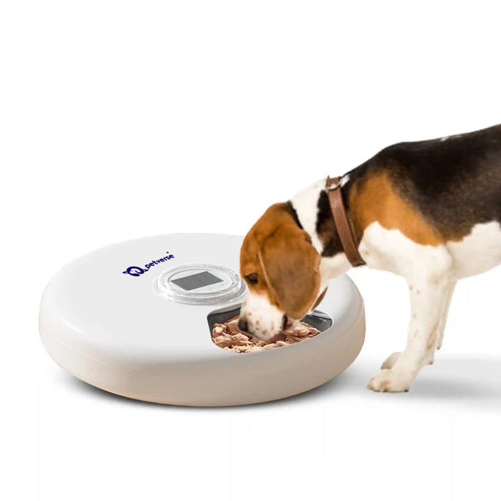 Dog eating food from a 6 Meals Smart Pet Feeder device