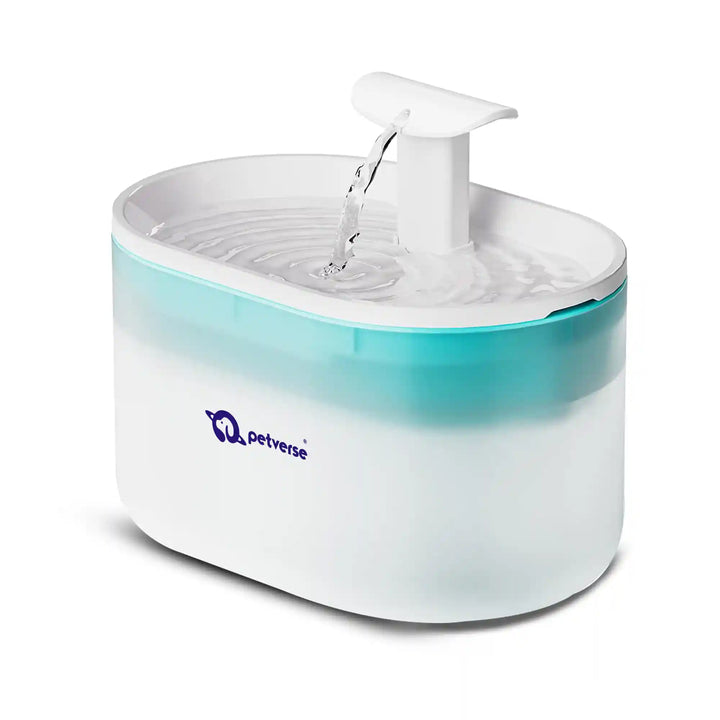 White and teal automatic pet water fountain with flowing spout on plain white background
