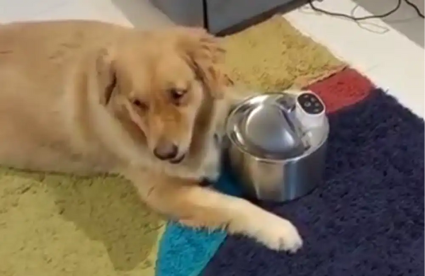 Ananya Reddy, Hyderabad