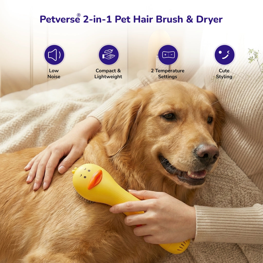 Yellow 2‑in‑1 pet brush and dryer on dog with low‑noise icons