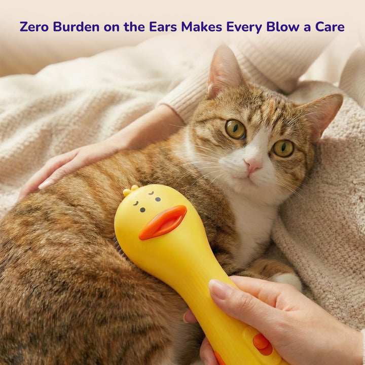 Cat playing with a yellow duck-shaped toy held by a person