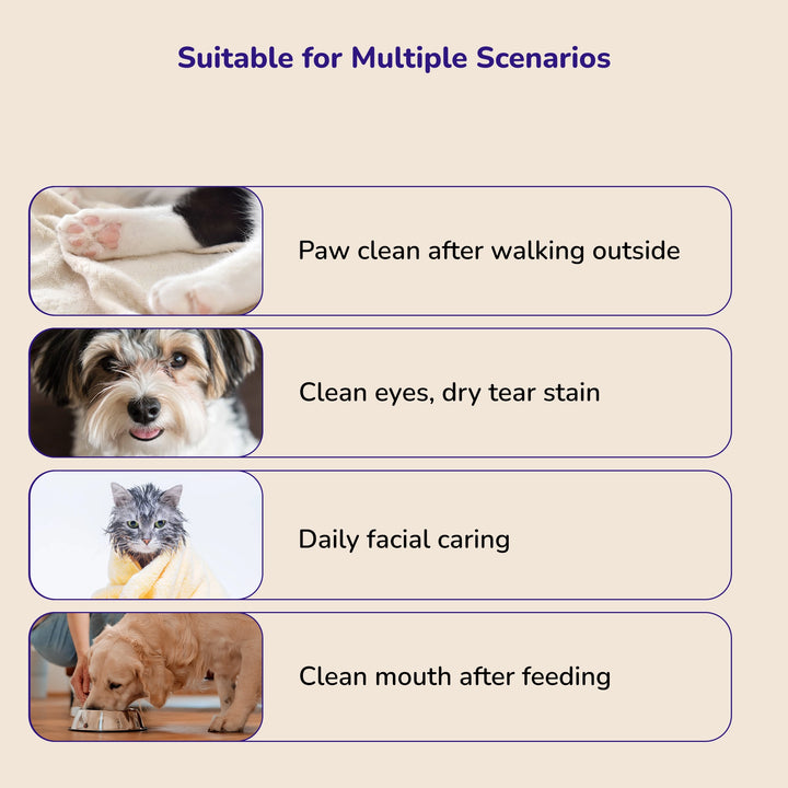 Pet care scenarios showing dog and cat paw and face cleaning