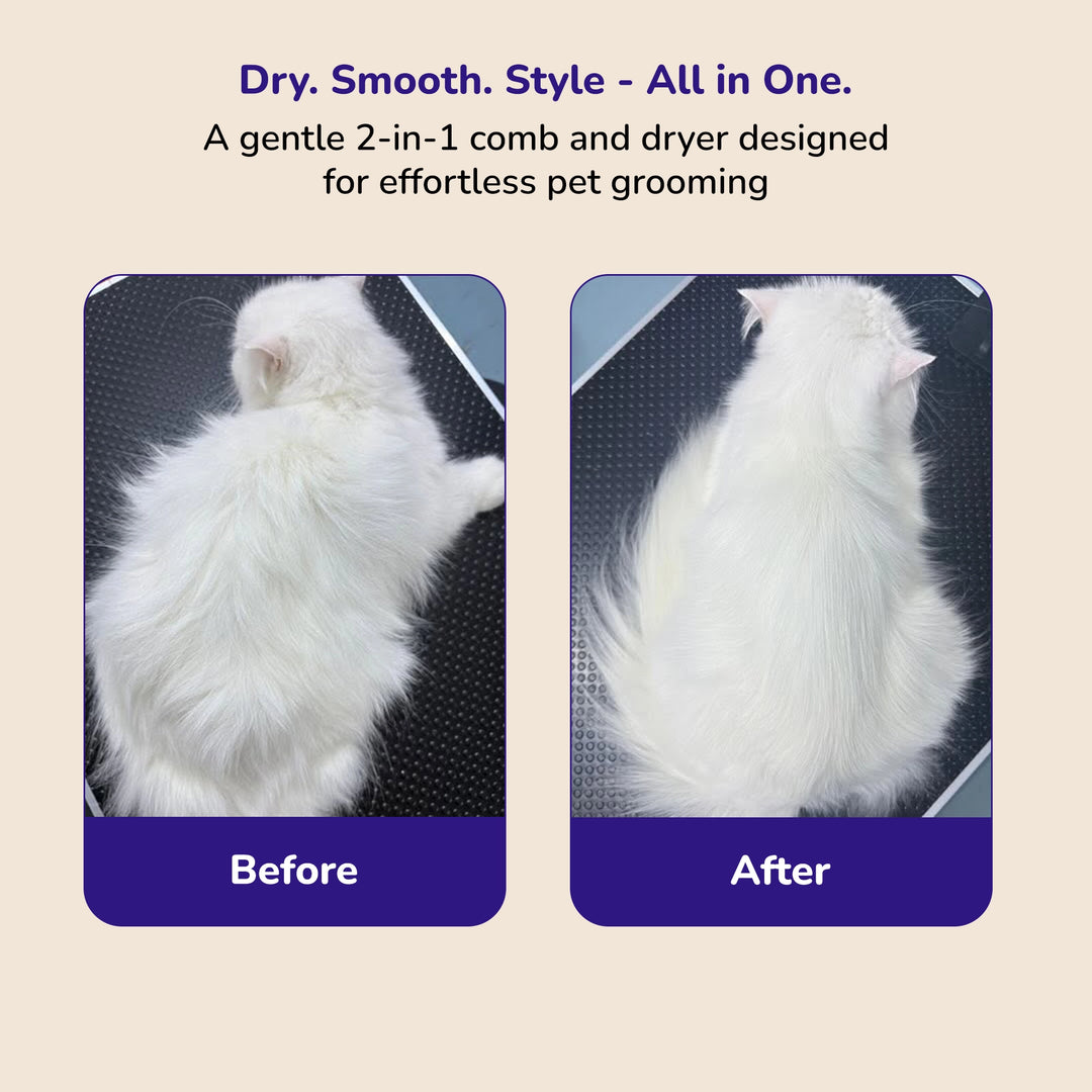 Before and after grooming white long‑haired cat fur using a 2‑in‑1 pet brush and dryer.