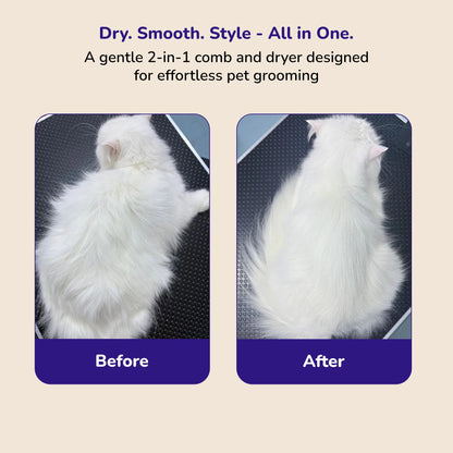 Before and after grooming white long‑haired cat fur using a 2‑in‑1 pet brush and dryer.