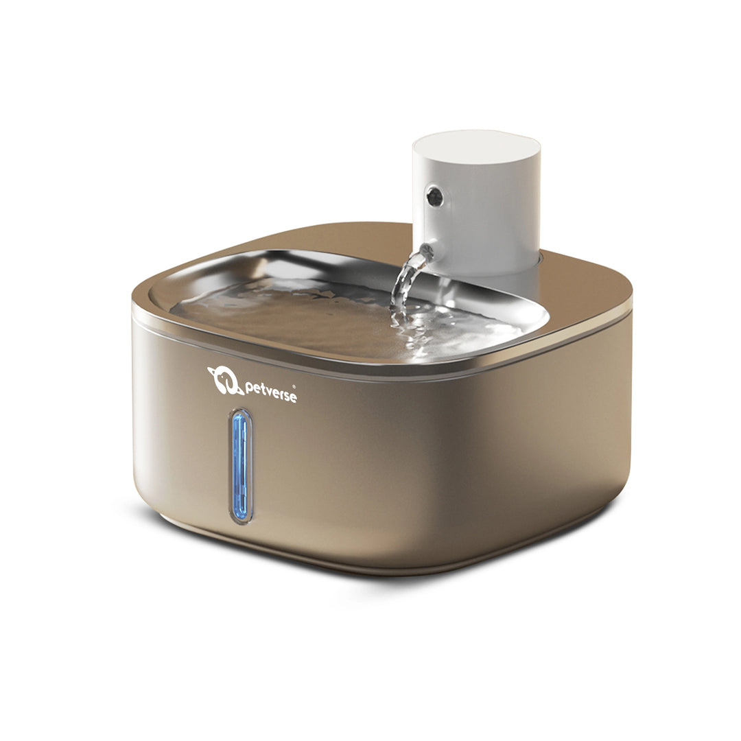 Automatic pet water fountain with top spout pouring fresh water into a stainless basin