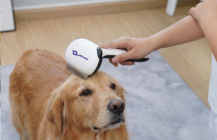 Person grooming a dog with a pet grooming brush on a wooden floor.