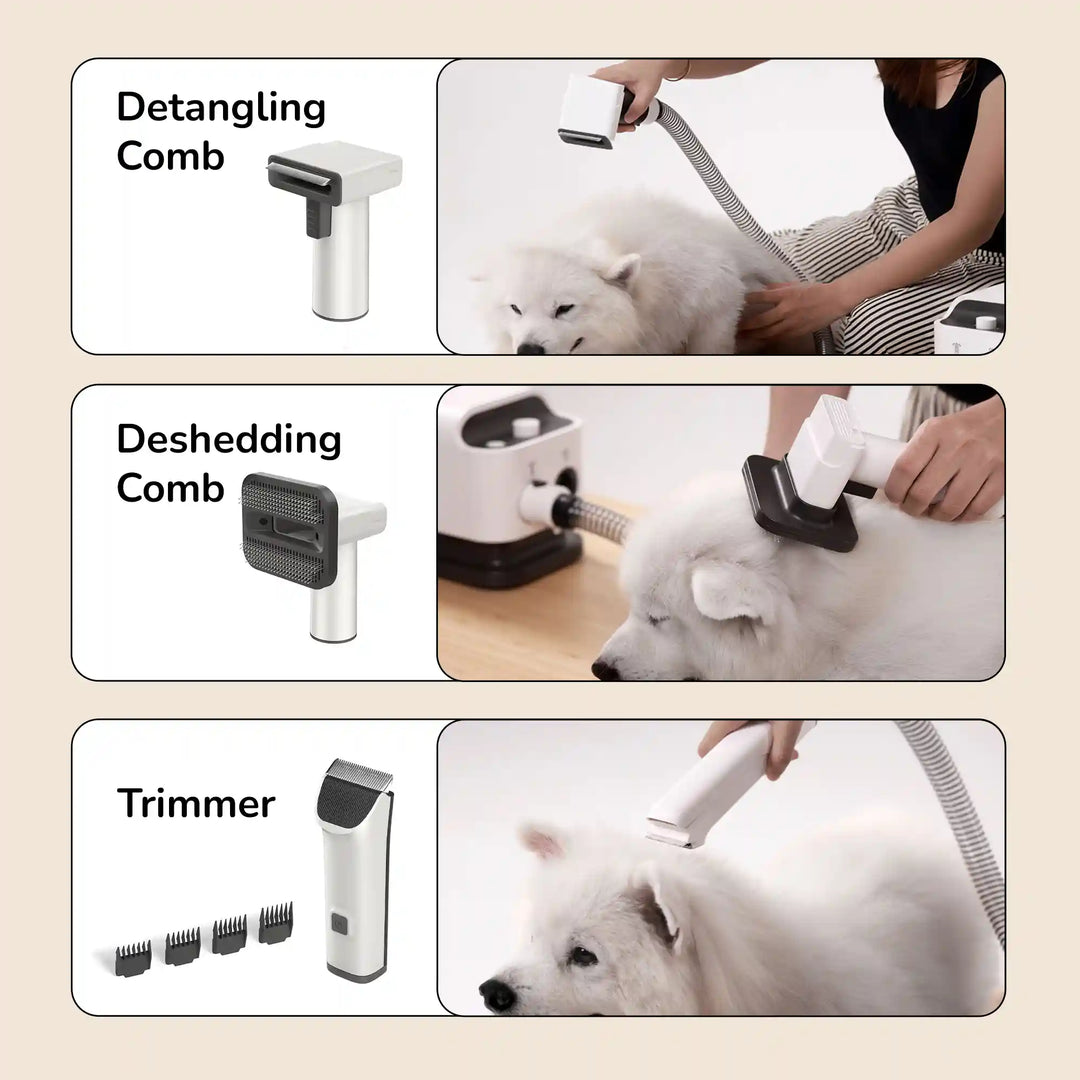 Pet grooming vacuum attachments showing a detangling comb, a deshedding comb, and a trimmer used on a white fluffy dog.