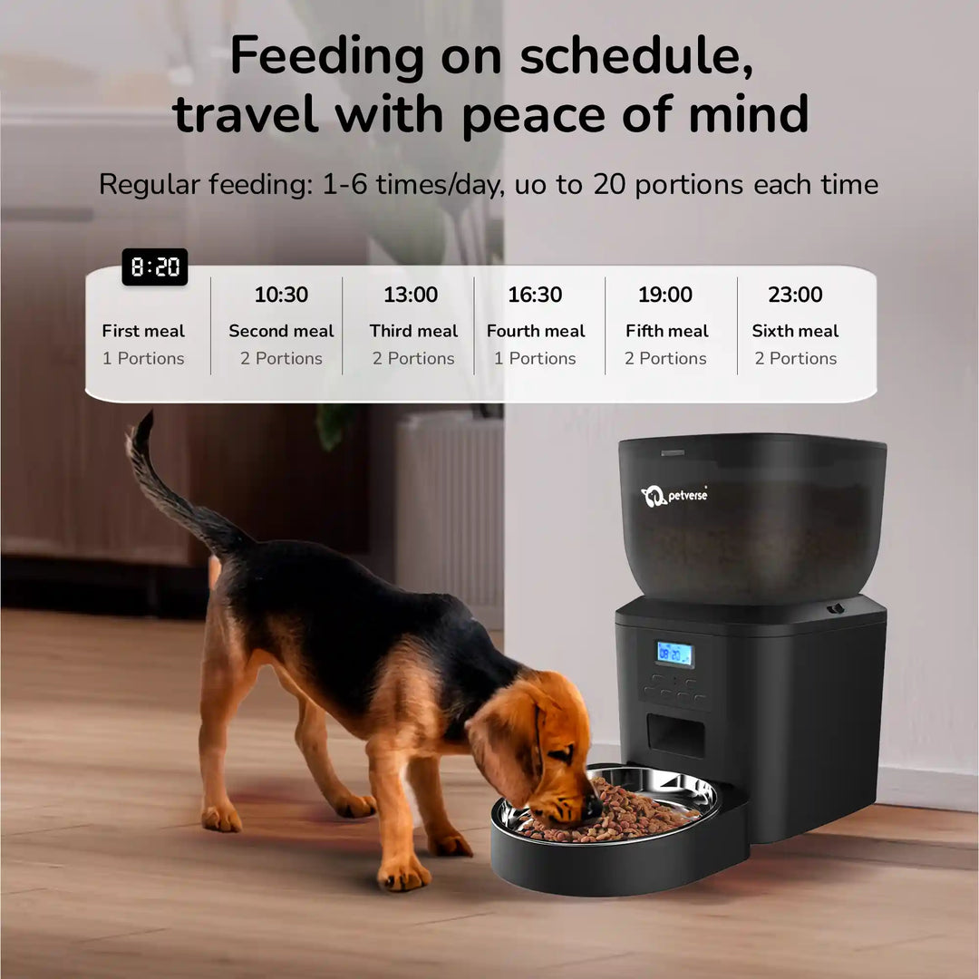 Dog eating from automatic pet feeder with feeding schedule information