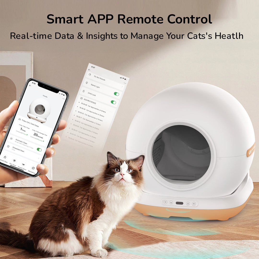 Automatic Cat Litter Box
