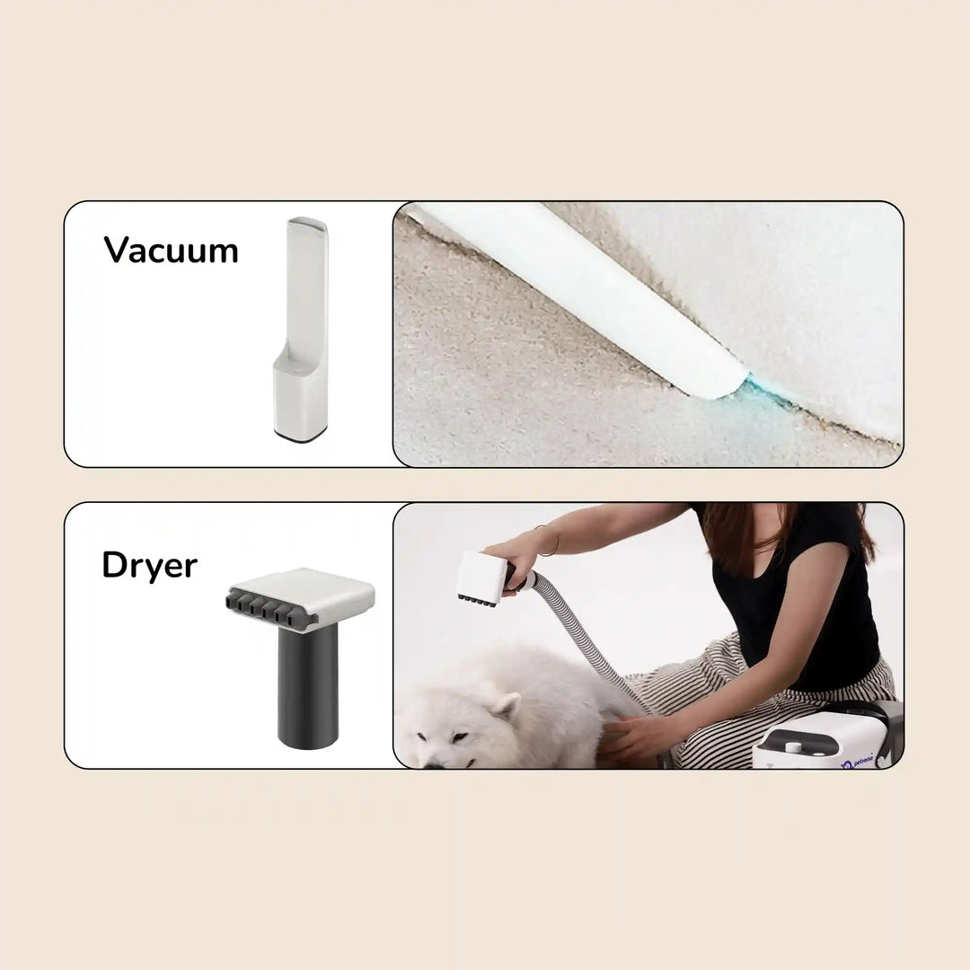 vacuum crevice tool cleaning carpet fibers and a pet dryer attachment being used on a dog.