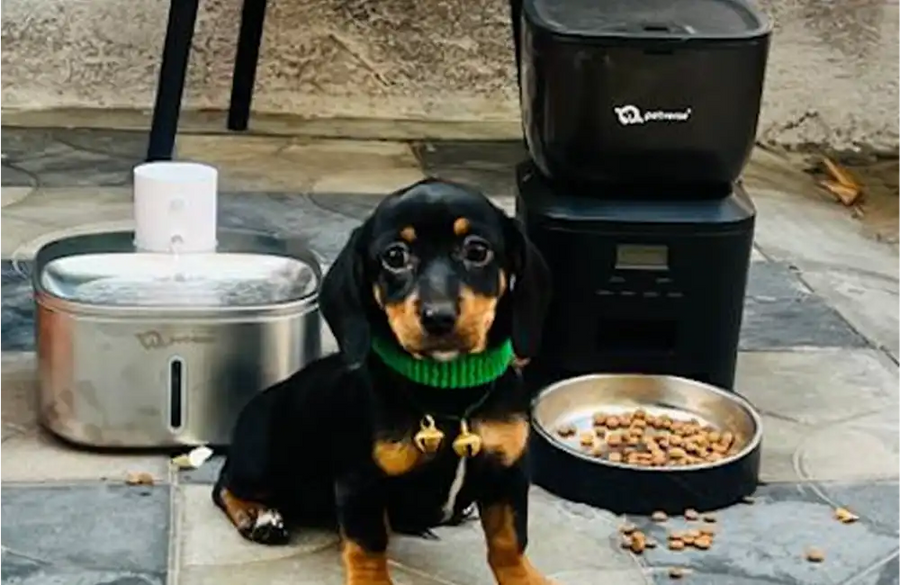 Happy Petverse customer with their pet
