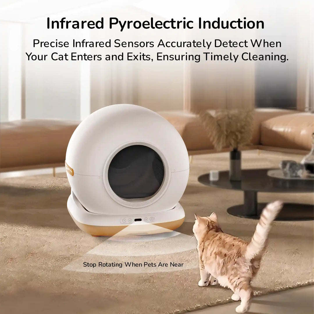 A cat approaching an automatic enclosed litter box with infrared sensor feature