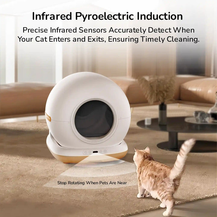 A cat approaching an automatic enclosed litter box with infrared sensor feature