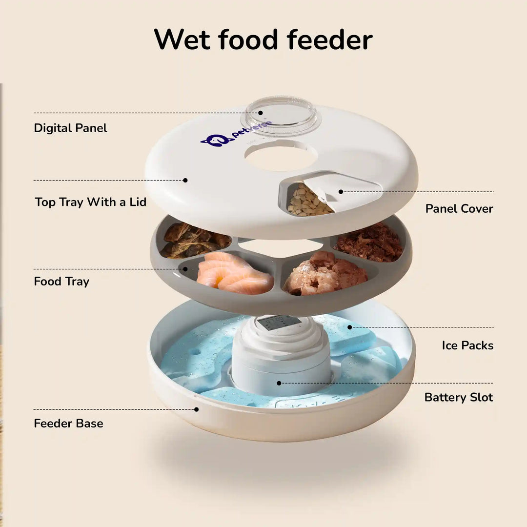 6 Meals Smart Pet Feeder with a bowl of dry food on a wooden floor.