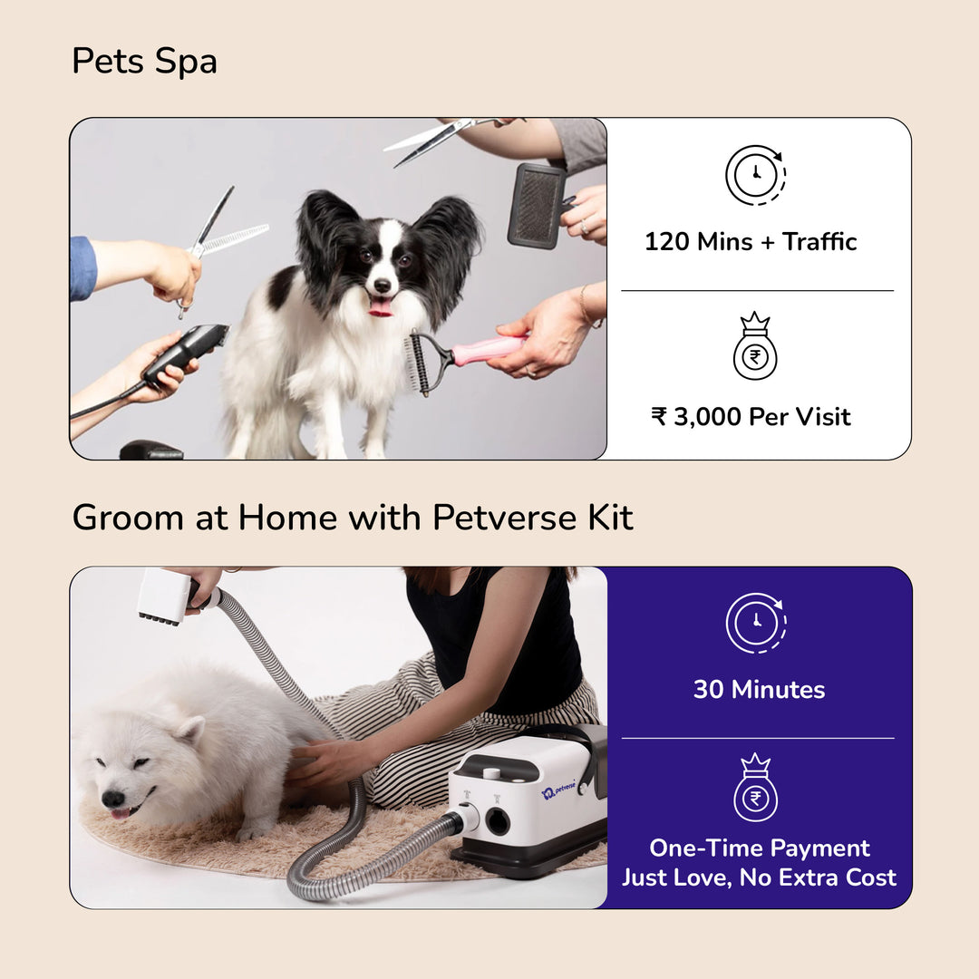 Advanced pet grooming kit at home