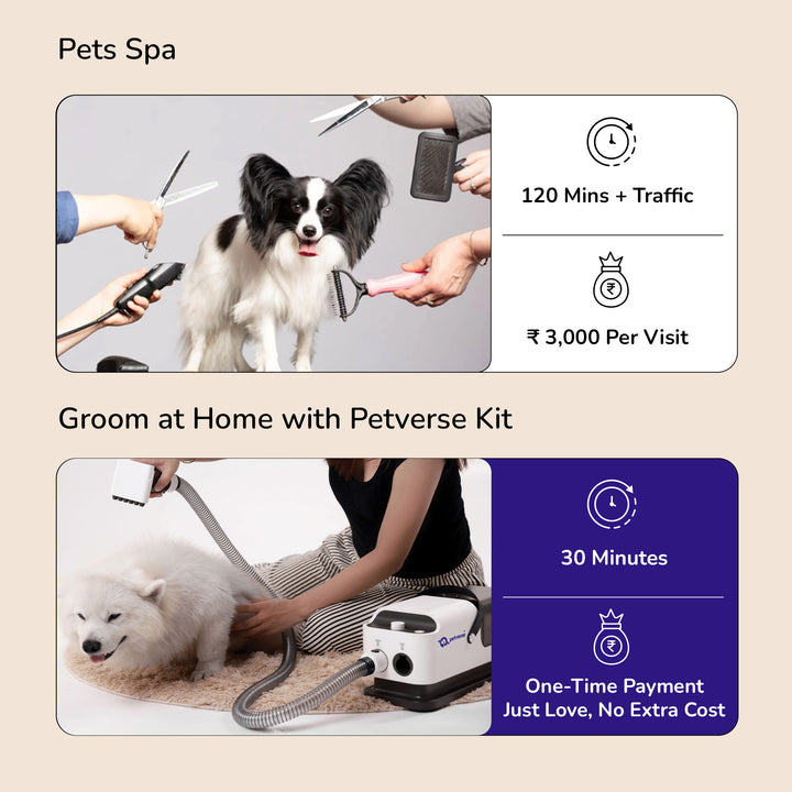 Advanced pet grooming kit at home