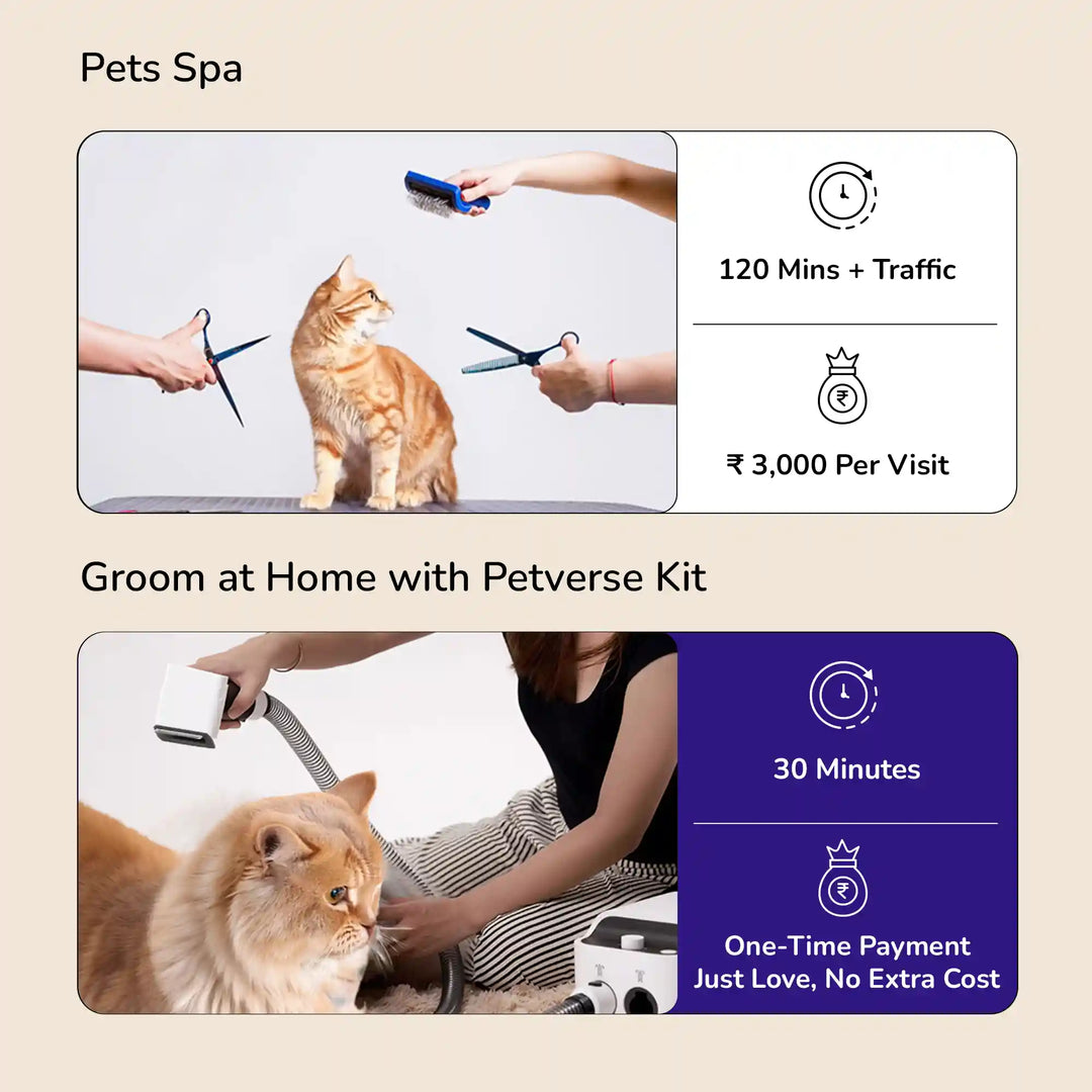 Pet spa grooming versus at‑home grooming with a Petverse kit on a cat with time and cost icons